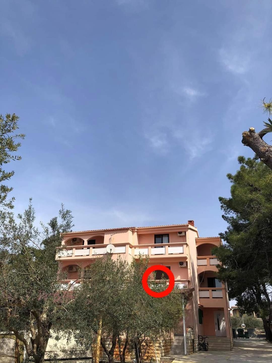 Villa Matea - Vir Exterior foto